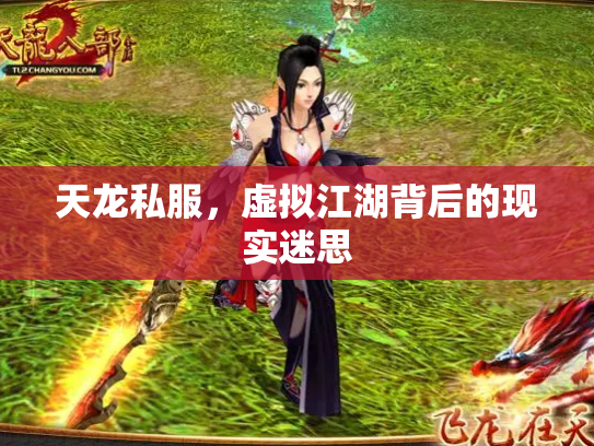天龙私服，虚拟江湖背后的现实迷思