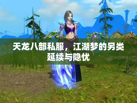 天龙八部私服，江湖梦的另类延续与隐忧