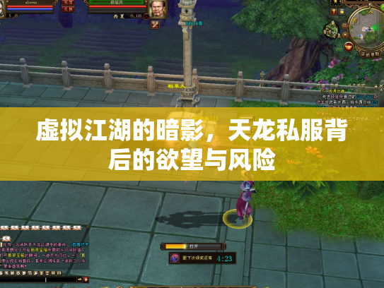 虚拟江湖的暗影，天龙私服背后的欲望与风险