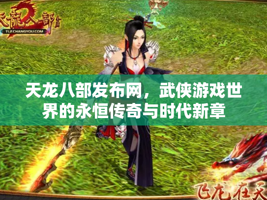 天龙八部发布网，武侠游戏世界的永恒传奇与时代新章