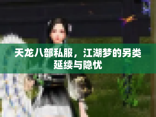 天龙八部私服，江湖梦的另类延续与隐忧