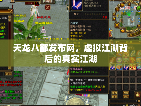 天龙八部发布网，虚拟江湖背后的真实江湖