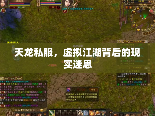 天龙私服，虚拟江湖背后的现实迷思