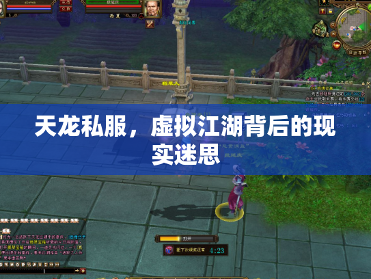 天龙私服，虚拟江湖背后的现实迷思
