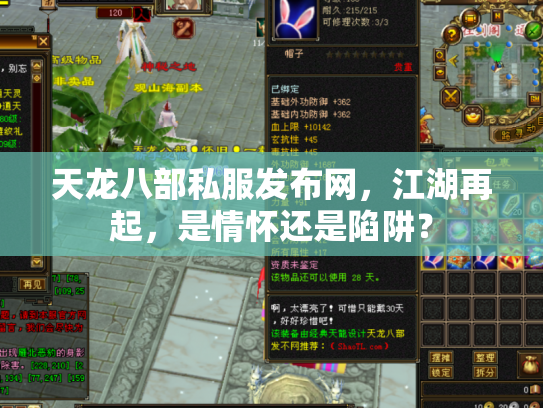 天龙八部私服发布网，江湖再起，是情怀还是陷阱？
