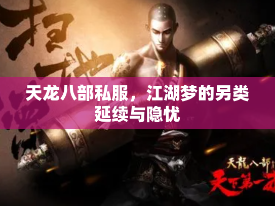 天龙八部私服，江湖梦的另类延续与隐忧