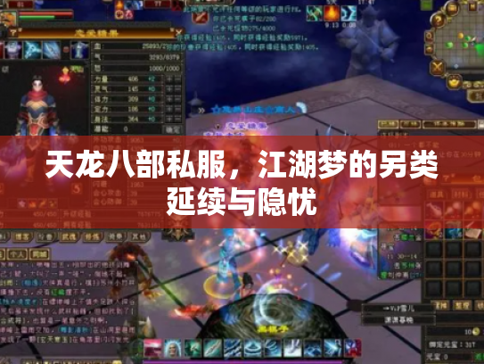 天龙八部私服，江湖梦的另类延续与隐忧