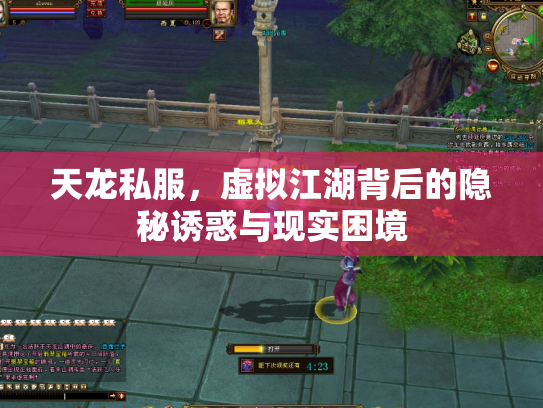天龙私服，虚拟江湖背后的隐秘诱惑与现实困境