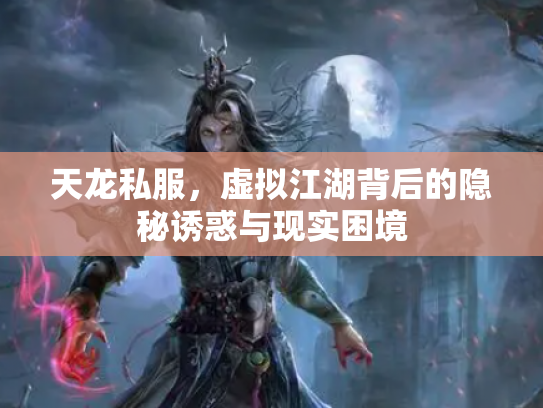 天龙私服，虚拟江湖背后的隐秘诱惑与现实困境