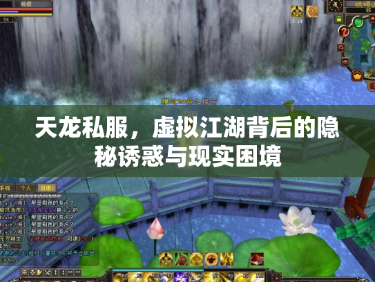 天龙私服，虚拟江湖背后的隐秘诱惑与现实困境