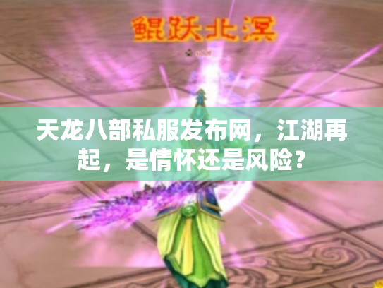 天龙八部私服发布网，江湖再起，是情怀还是风险？