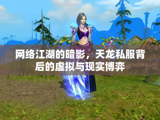网络江湖的暗影，天龙私服背后的虚拟与现实博弈