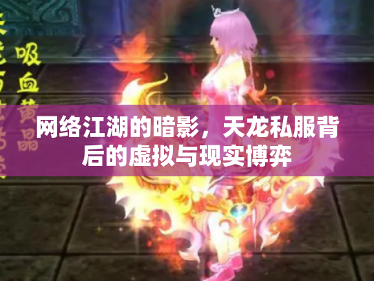 网络江湖的暗影，天龙私服背后的虚拟与现实博弈