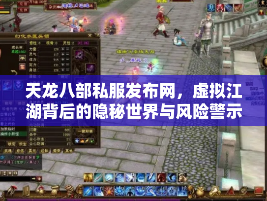 天龙八部私服发布网，虚拟江湖背后的隐秘世界与风险警示
