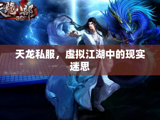 天龙私服，虚拟江湖中的现实迷思