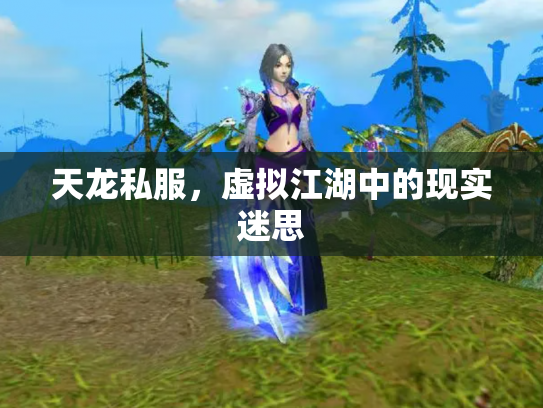 天龙私服，虚拟江湖中的现实迷思