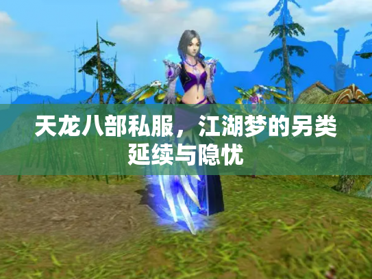 天龙八部私服，江湖梦的另类延续与隐忧
