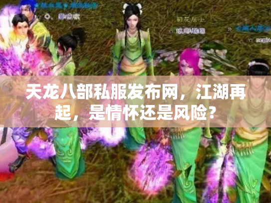天龙八部私服发布网，江湖再起，是情怀还是风险？