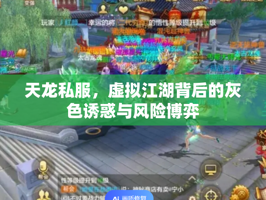天龙私服，虚拟江湖背后的灰色诱惑与风险博弈