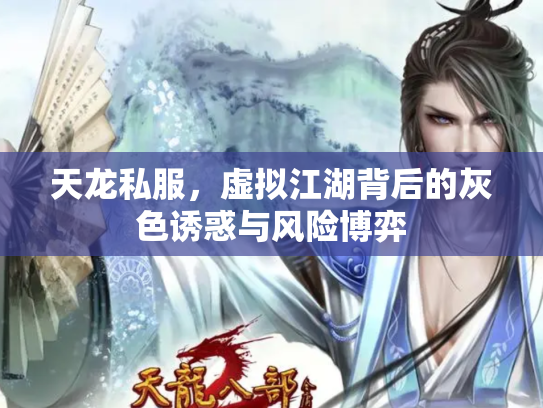 天龙私服，虚拟江湖背后的灰色诱惑与风险博弈