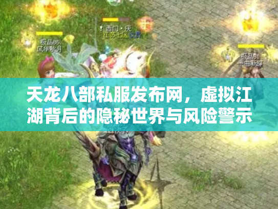 天龙八部私服发布网，虚拟江湖背后的隐秘世界与风险警示