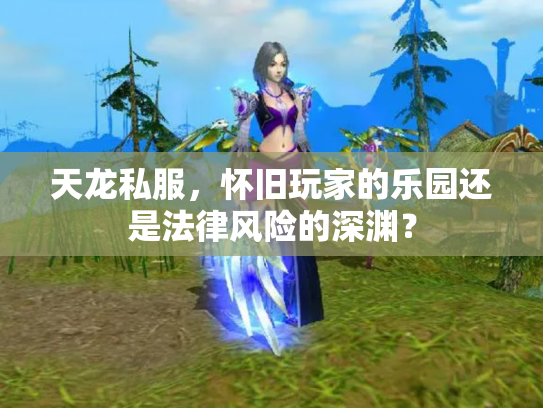 天龙私服，怀旧玩家的乐园还是法律风险的深渊？