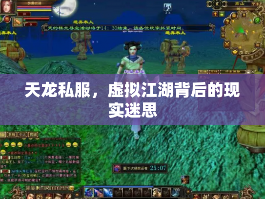 天龙私服，虚拟江湖背后的现实迷思
