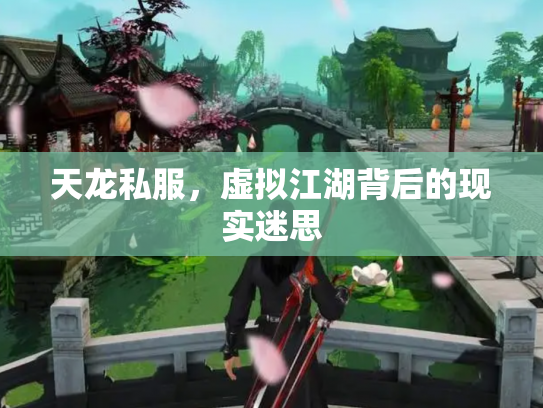 天龙私服，虚拟江湖背后的现实迷思