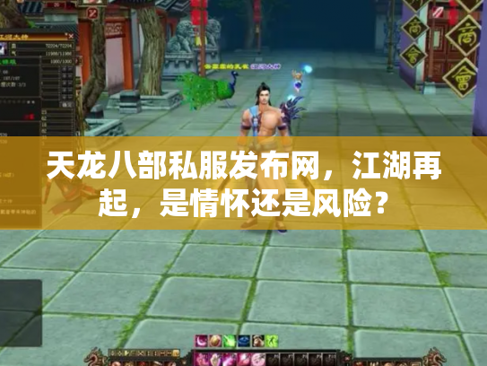 天龙八部私服发布网，江湖再起，是情怀还是风险？