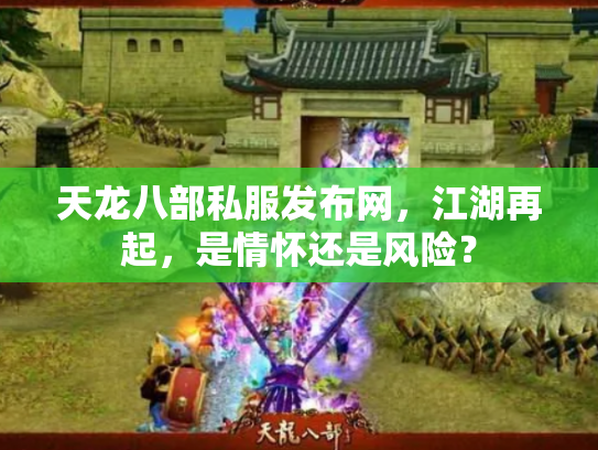 天龙八部私服发布网，江湖再起，是情怀还是风险？