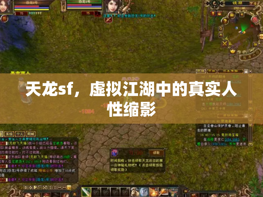 天龙sf，虚拟江湖中的真实人性缩影