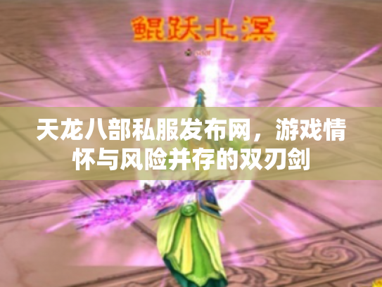 天龙八部私服发布网，游戏情怀与风险并存的双刃剑