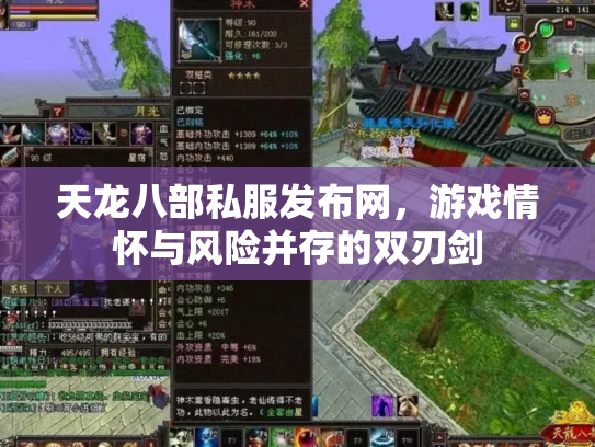 天龙八部私服发布网，游戏情怀与风险并存的双刃剑