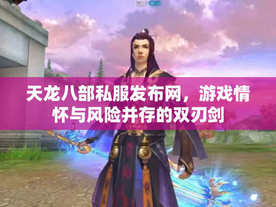 天龙八部私服发布网，游戏情怀与风险并存的双刃剑
