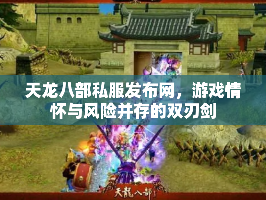 天龙八部私服发布网，游戏情怀与风险并存的双刃剑