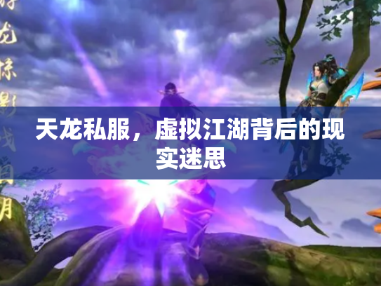 天龙私服，虚拟江湖背后的现实迷思