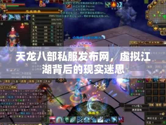 天龙八部私服发布网，虚拟江湖背后的现实迷思