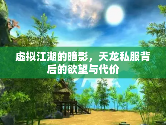 虚拟江湖的暗影，天龙私服背后的欲望与代价