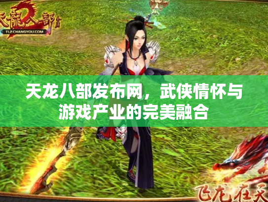 天龙八部发布网，武侠情怀与游戏产业的完美融合