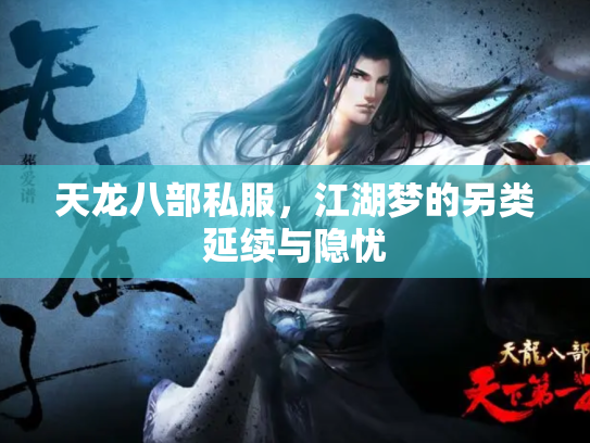 天龙八部私服，江湖梦的另类延续与隐忧