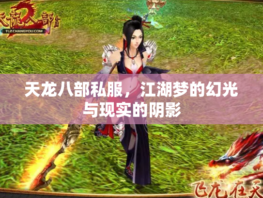 天龙八部私服，江湖梦的幻光与现实的阴影