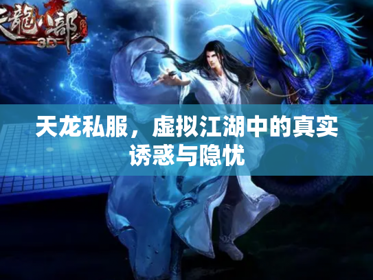 天龙私服，虚拟江湖中的真实诱惑与隐忧