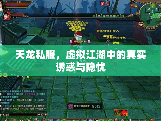 天龙私服，虚拟江湖中的真实诱惑与隐忧