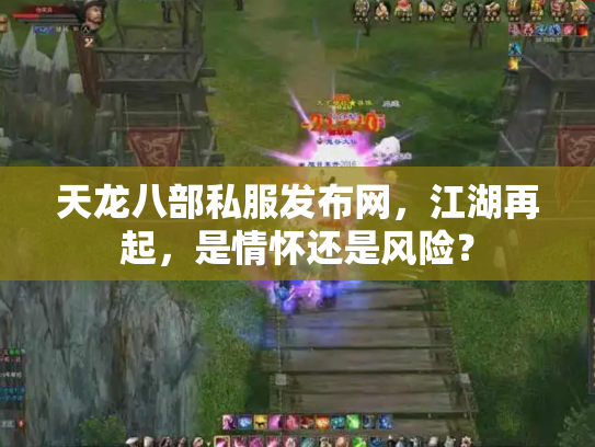 天龙八部私服发布网，江湖再起，是情怀还是风险？