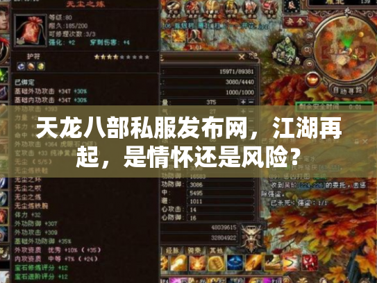 天龙八部私服发布网，江湖再起，是情怀还是风险？