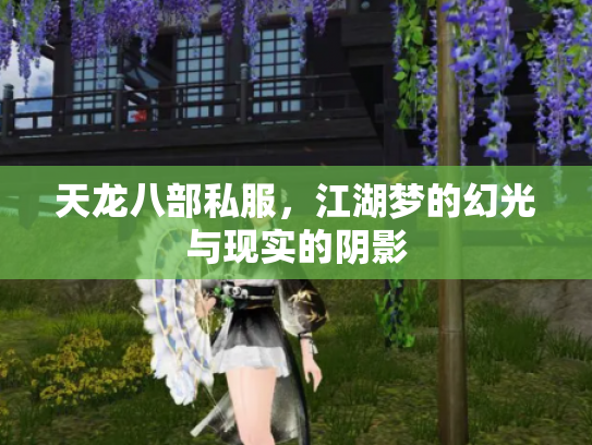 天龙八部私服，江湖梦的幻光与现实的阴影
