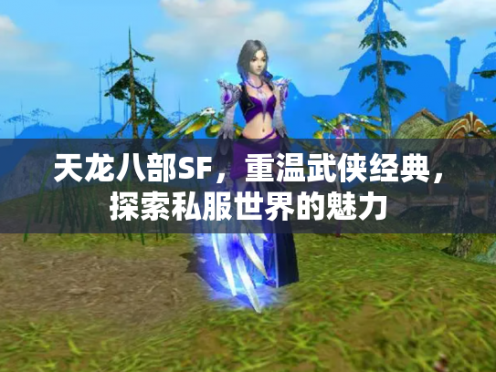 天龙八部SF，重温武侠经典，探索私服世界的魅力