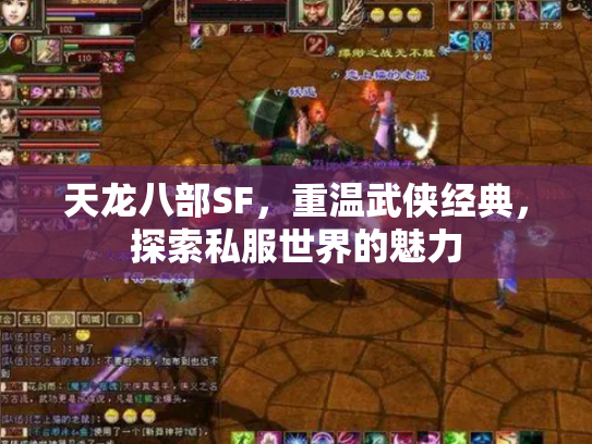 天龙八部SF，重温武侠经典，探索私服世界的魅力
