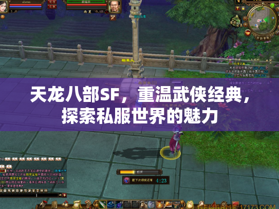 天龙八部SF，重温武侠经典，探索私服世界的魅力