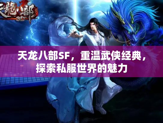 天龙八部SF，重温武侠经典，探索私服世界的魅力